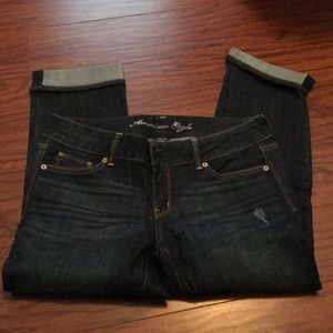 American Eagle Artist Capri